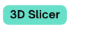 3D Slicer