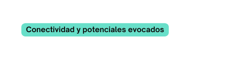 Conectividad y potenciales evocados